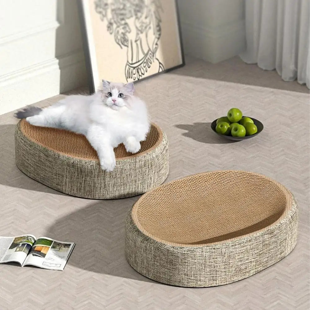 Choosing the Perfect Cat Litter Guide