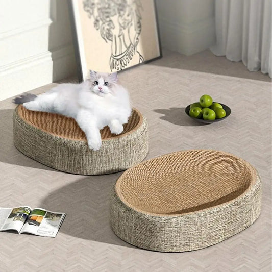 Choosing the Perfect Cat Litter Guide