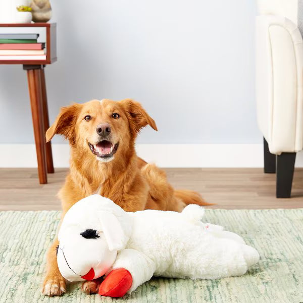 Plush Toys