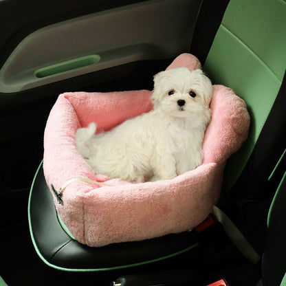 CarPawz