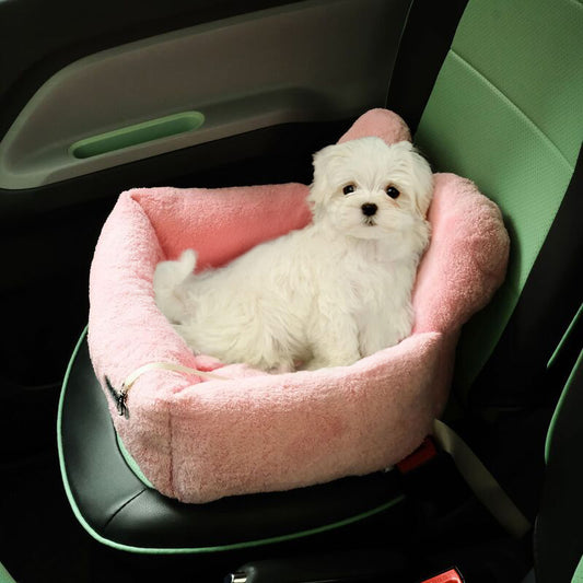 CarPawz