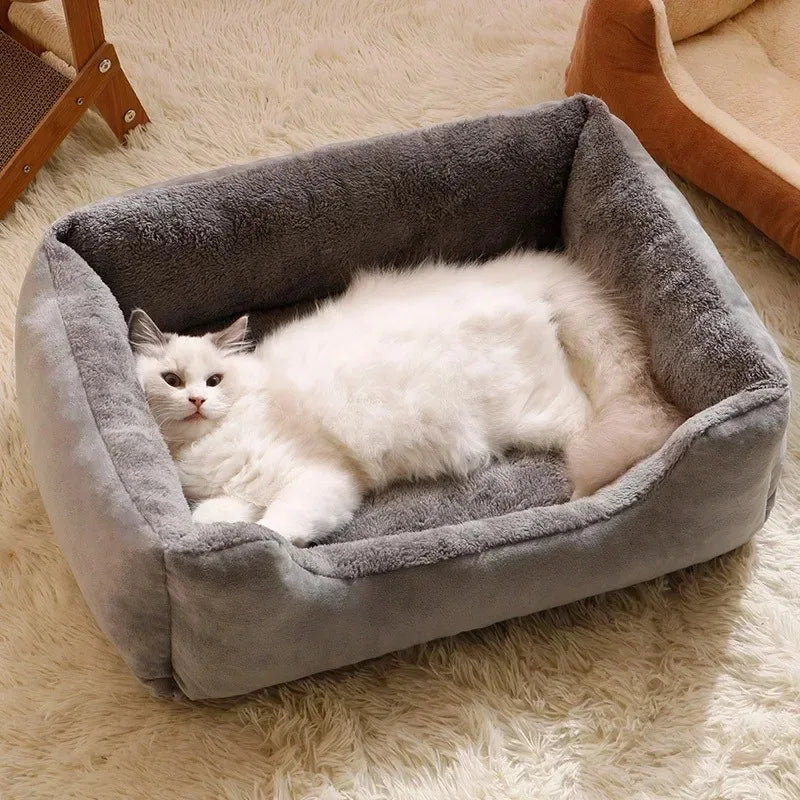 DreamNest