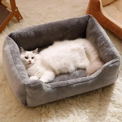 DreamNest
