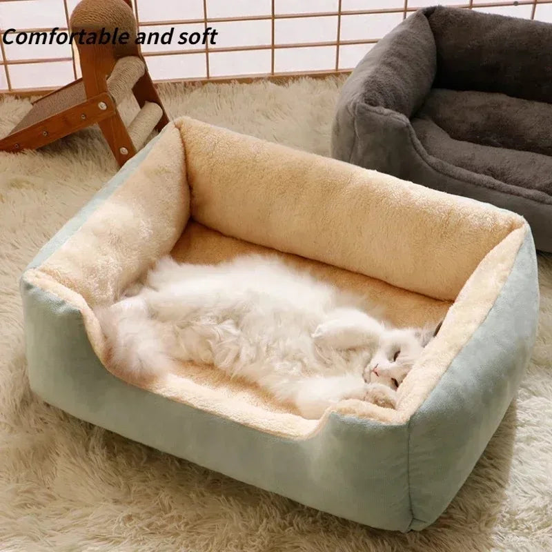 DreamNest