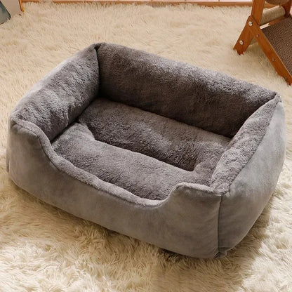 DreamNest