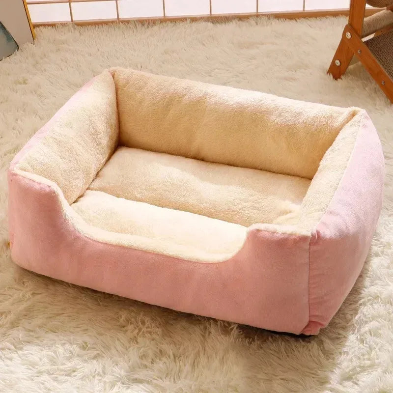 DreamNest