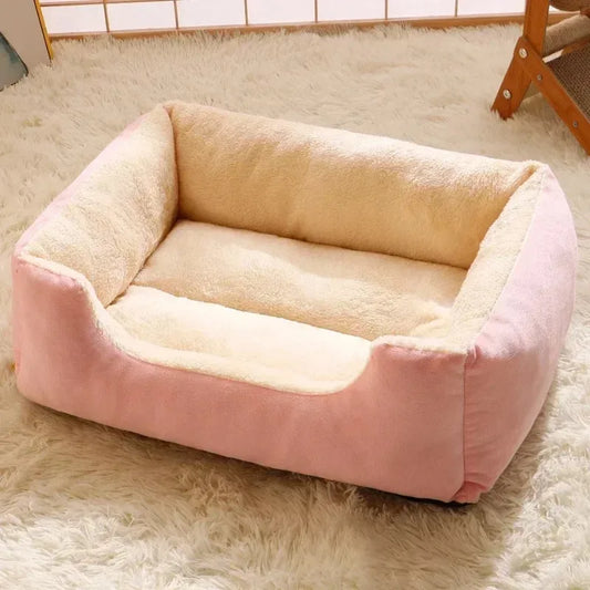 DreamNest