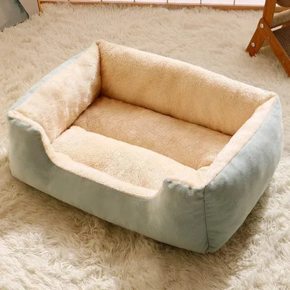 DreamNest