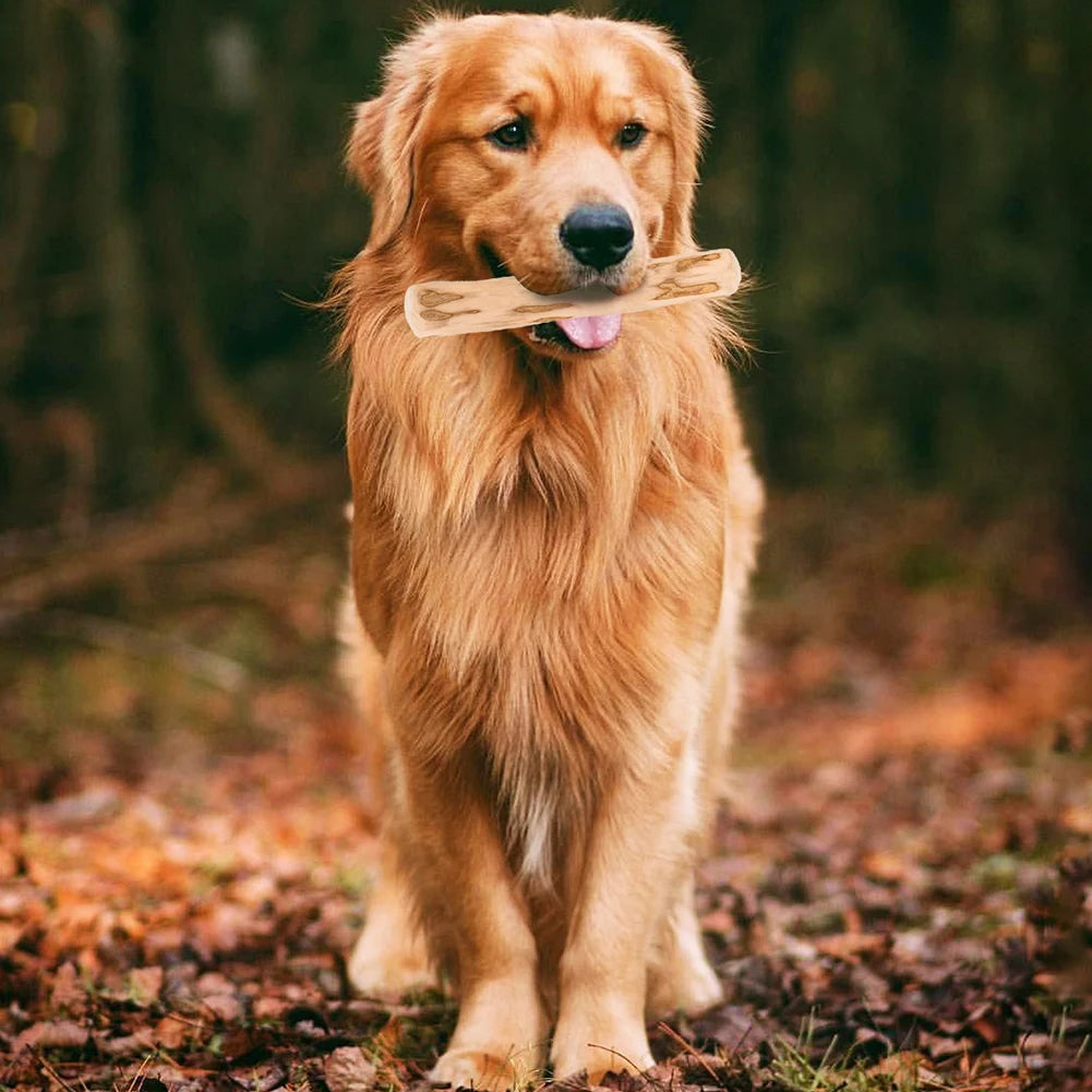 NatureBite