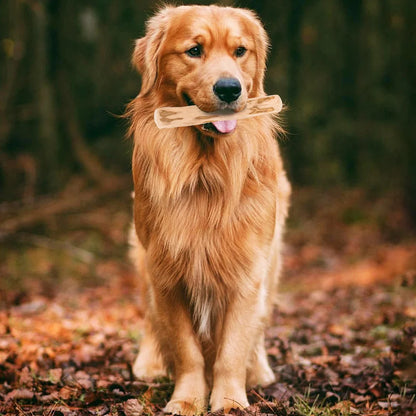 NatureBite